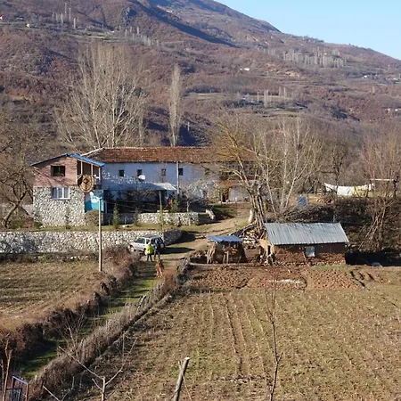 Maison d'hôtes Arber *