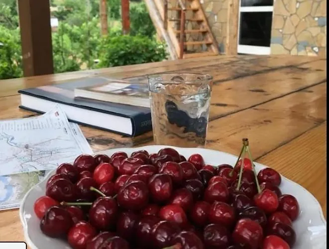 Arber Pensionat Peshkopi