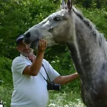 Arber *