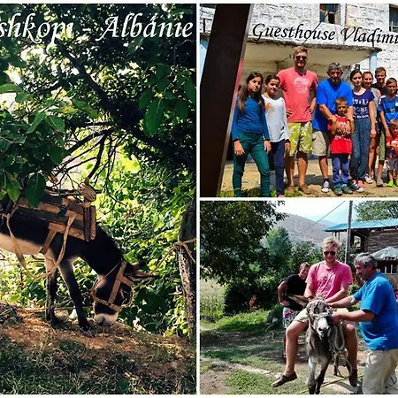 Arber Guest house