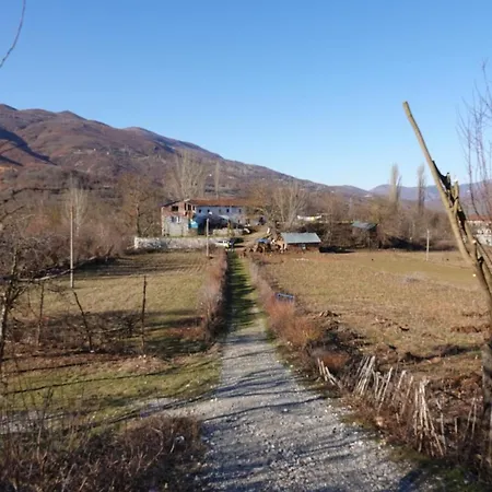 Arber Guest house *
