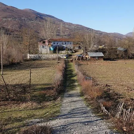 Arber Guest house