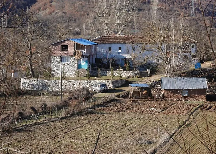 Arber * Peshkopi